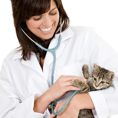 doctor holding kitty