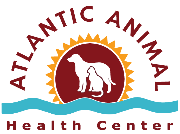 About Us - Atlantic Animal Health Center - Galloway, NJ